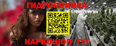 a pvp Братск